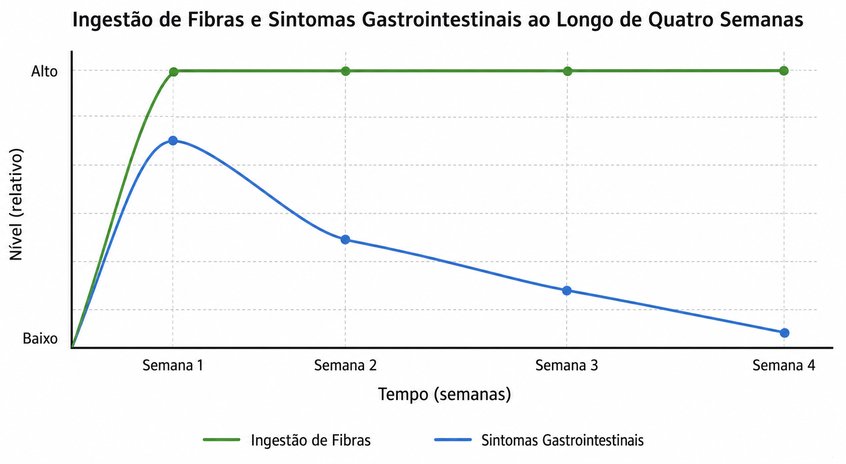 Questão 13