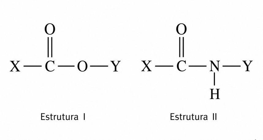 Questão 12