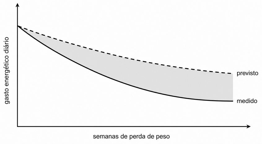 Questão 4