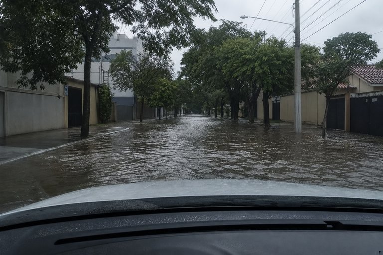 Questão 8