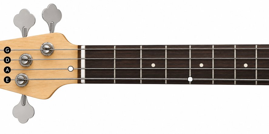 Question 7