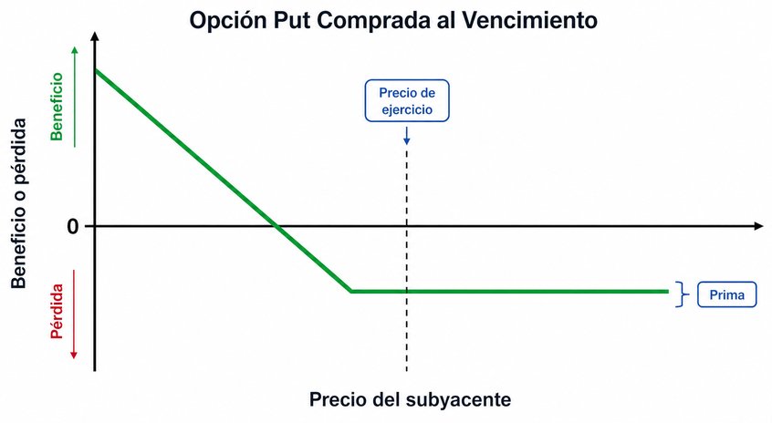 Pregunta 2