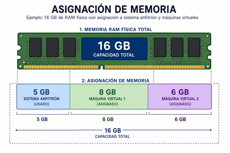 Pregunta 10