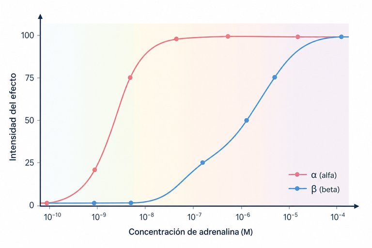 Pregunta 12