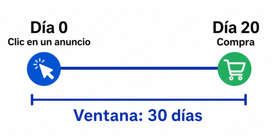 Pregunta 8